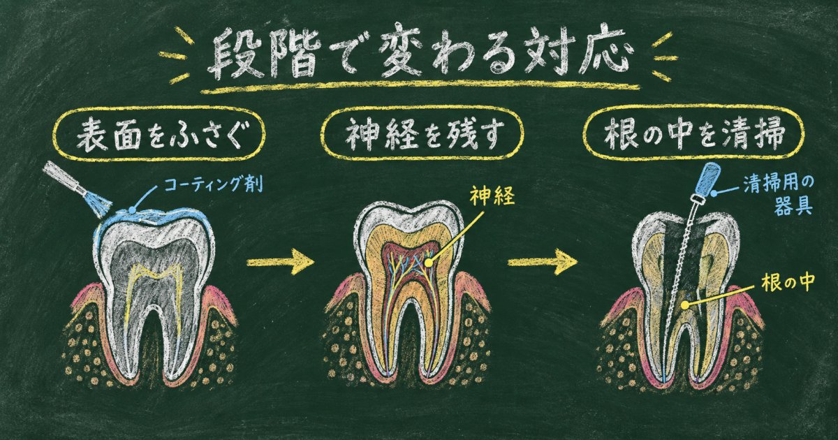 神経の炎症に対する治療の選択肢—コーティングから神経を残す方法まで